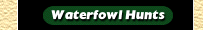 waterfowl hunts